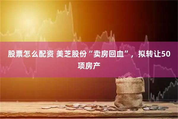 股票怎么配资 美芝股份“卖房回血”，拟转让50项房产